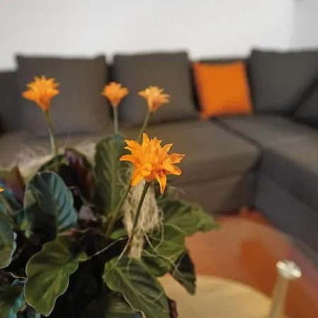 Apartment Domizil Aschbergblick
