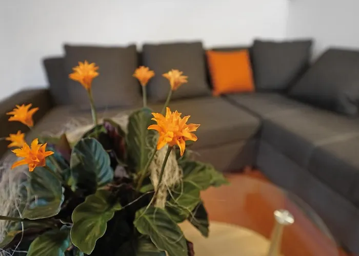 شقة Domizil Aschbergblick